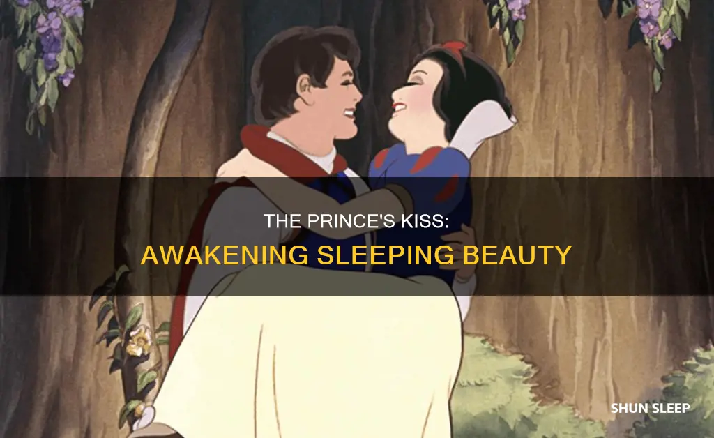 how did the prince wake the sleeping beauty up