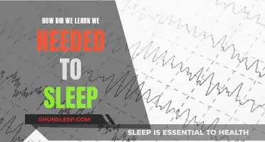 The Science of Sleep: Unraveling the Mystery of Slumber