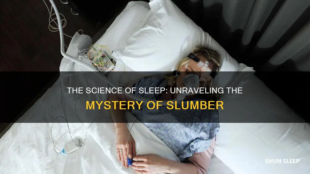 how did we learn we needed to sleep