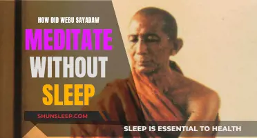 Webu Sayadaw's Sleepless Meditation: A Spiritual Mystery