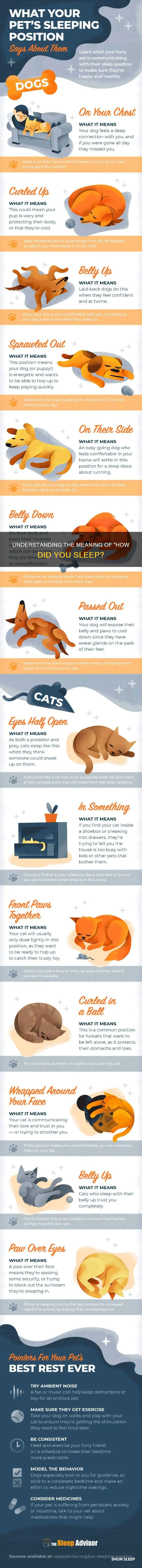 how did you sleep meaning