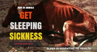 Understanding Sleeping Sickness: How Animals Contract This Deadly Disease