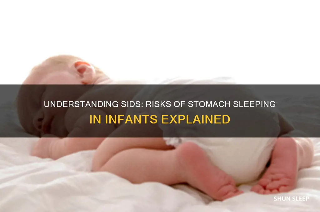 how do babies get sids from sleeping on stomach