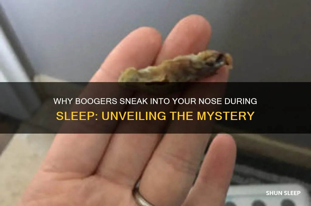 how do boogies get in your nose while sleeping