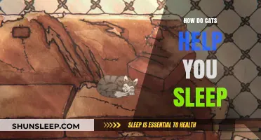 Purring Partners: How Cats Enhance Your Sleep Quality Naturally