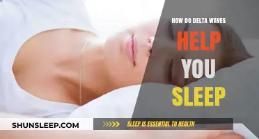 Delta Waves: Unlocking Deep Sleep and Restorative Benefits for Better Health