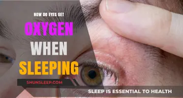 How Do Eyes Receive Oxygen During Sleep: Unveiling the Mystery