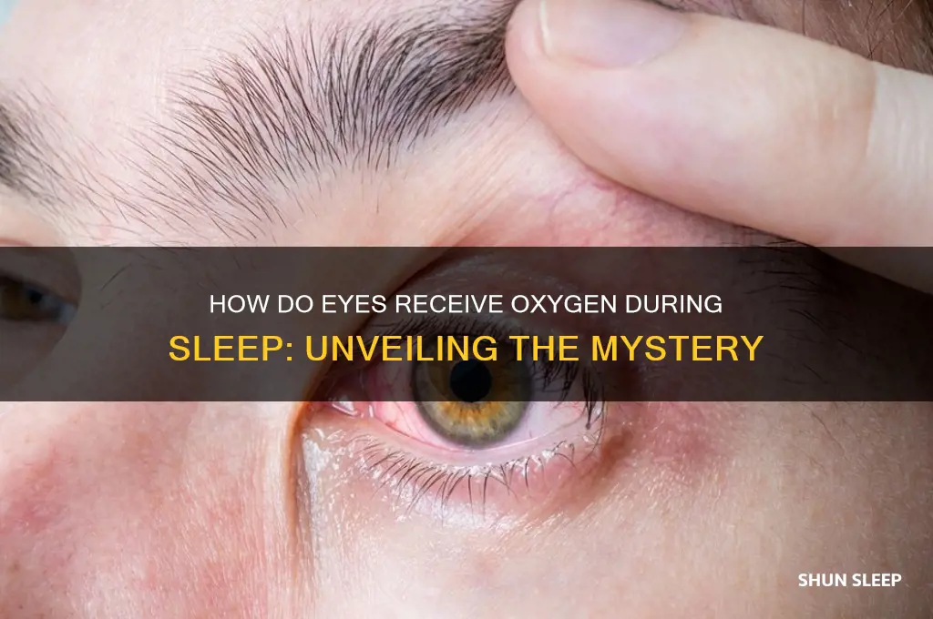 how do eyes get oxygen when sleeping