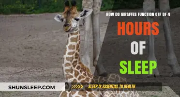 Sleepless Giants: Unraveling the Mystery of Giraffes' Minimal Rest