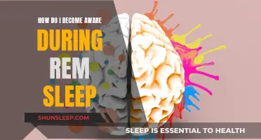 Mastering Awareness During REM Sleep