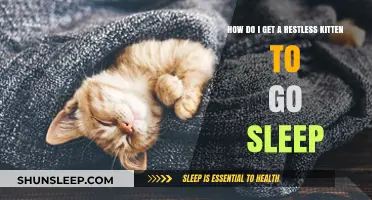 Calming Your Restless Kitten: Tips for a Peaceful Night's Sleep