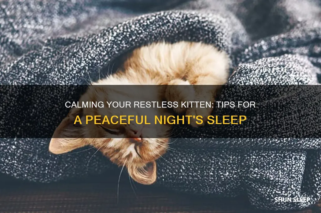 how do i get a restless kitten to go sleep