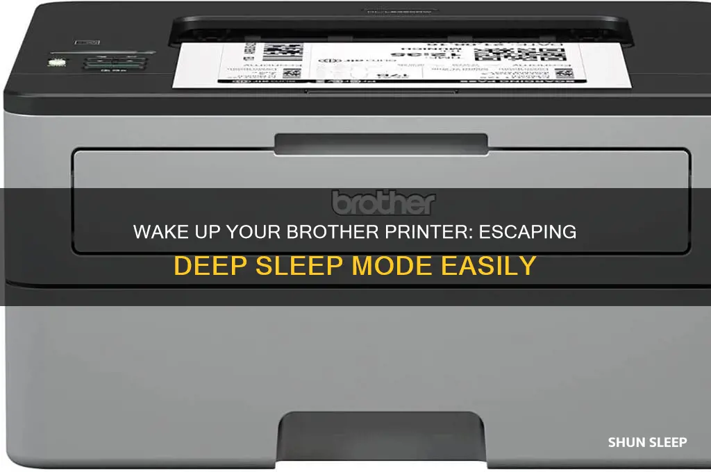 how do i get brother printer out of deep sleep