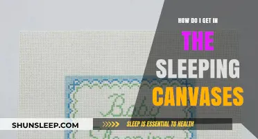 Exploring the Mystique: How to Enter the Sleeping Canvases
