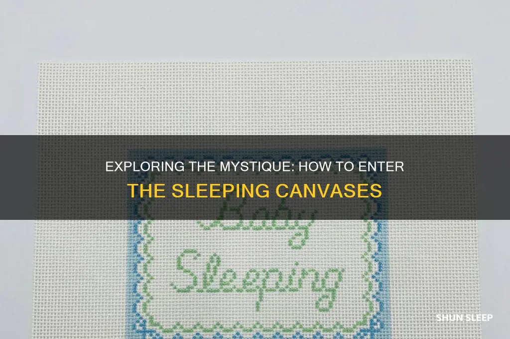 how do i get in the sleeping canvases