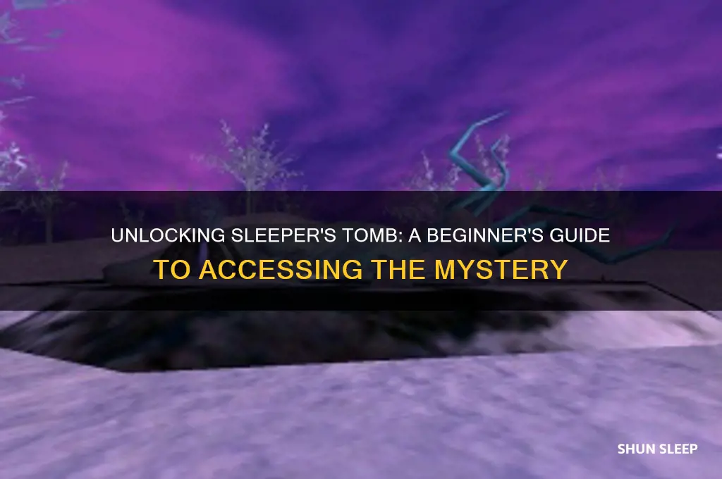 how do i get into sleeper