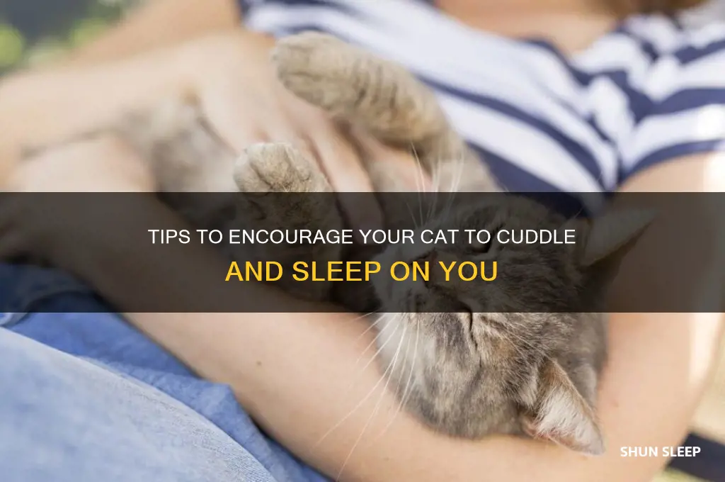 how do i get my cat to sleep on me