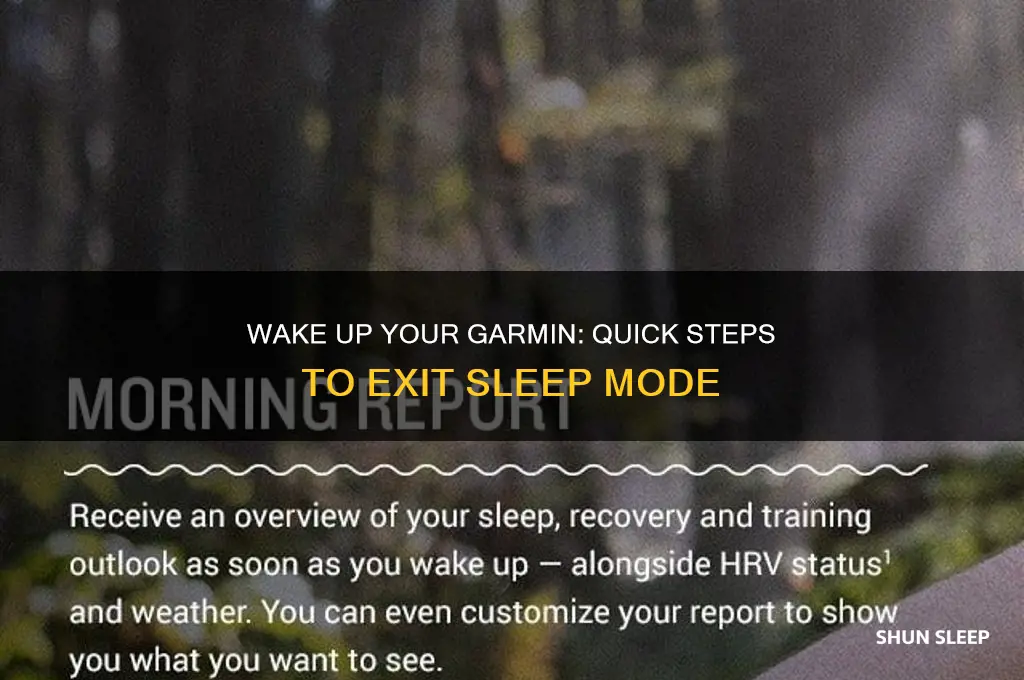how do i get my garmin out of sleep mode