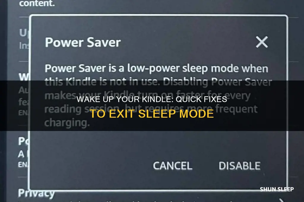 how do i get my kinle out of sleep mode