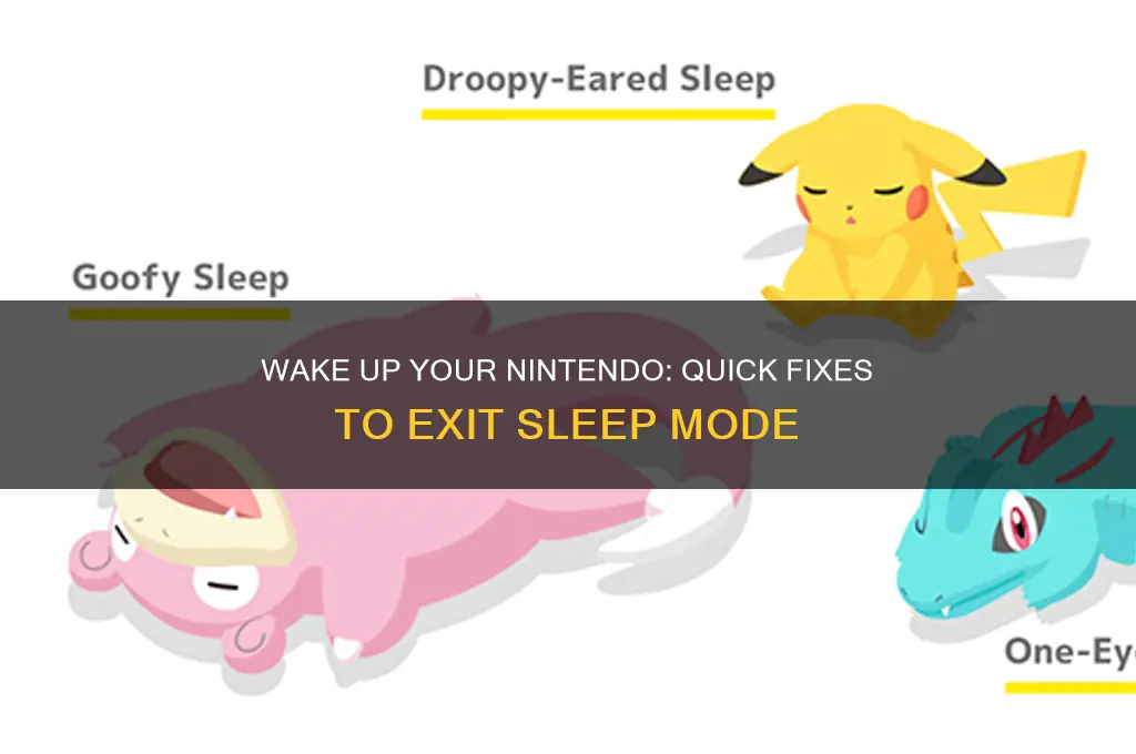how do i get my nintendo out of sleep mode