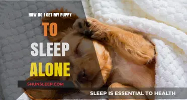 Helping Your Puppy Sleep Alone: Tips for a Peaceful Night's Rest
