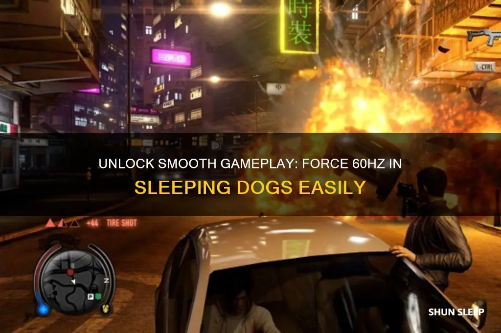 how do i get sleeping dogs to force 60hz