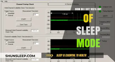 Wake Up Your Vista: Easy Steps to Exit Sleep Mode