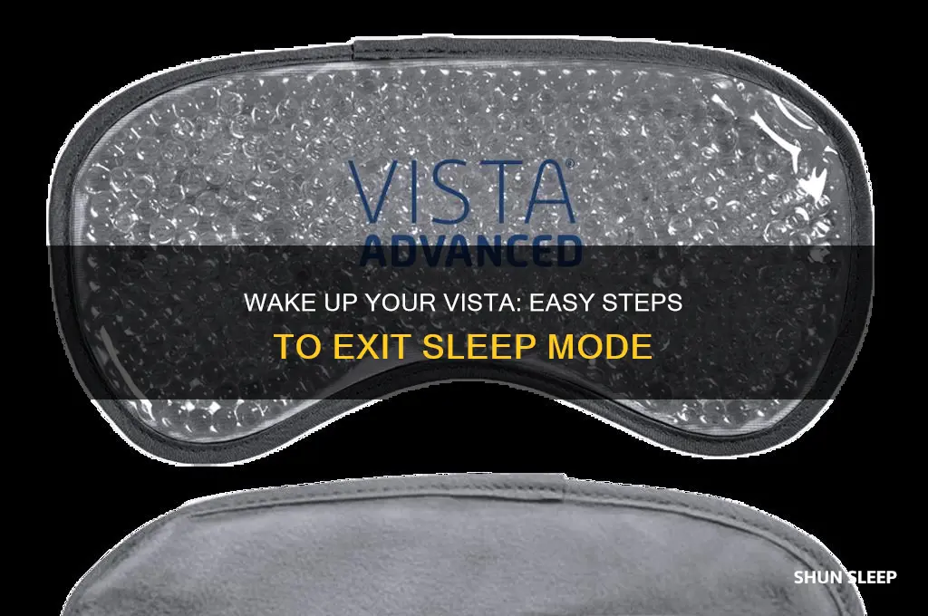 how do i get vista out of sleep mode