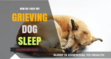 Supporting Your Grieving Dog: Tips for a Peaceful Sleep