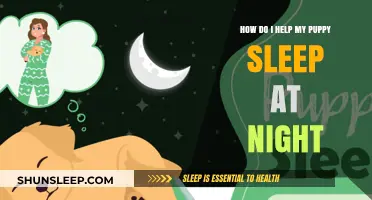 Helping Your Puppy Sleep Through the Night: Tips for a Peaceful Rest