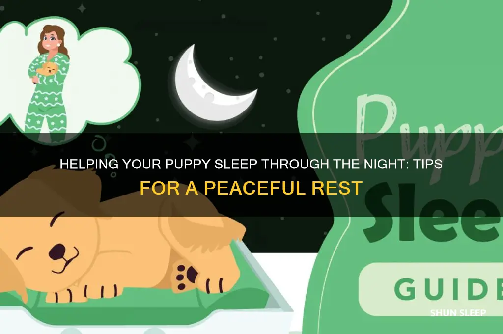 how do i help my puppy sleep at night