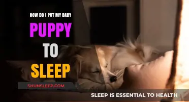 Gentle Ways to Help Your Baby Puppy Sleep Peacefully at Night
