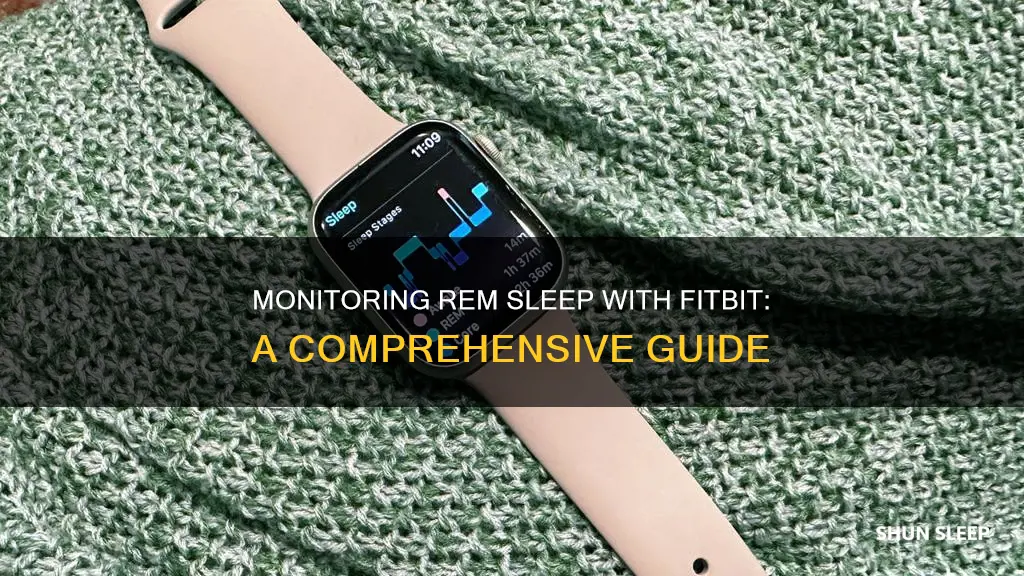 how do i see my rem sleep on fitbit