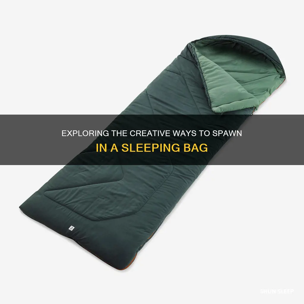 how do i spawn in sleeping bag
