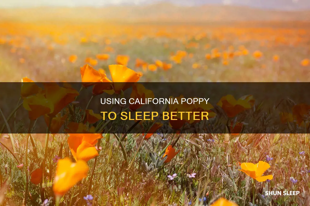 how do i use california poppy for sleep