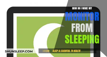 Troubleshooting a Dormant Monitor: Wake-Up Solutions