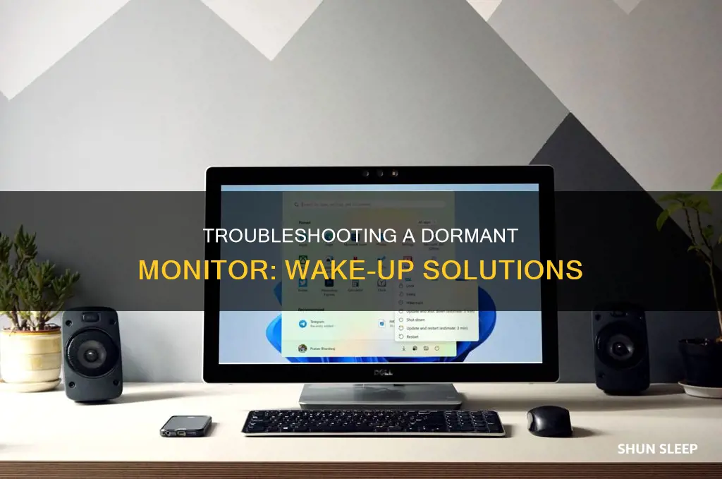 how do i wake my monitor from sleeping