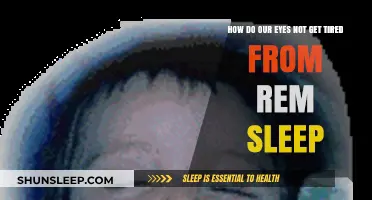 Why REM Sleep Doesn't Strain Our Eyes: Unraveling the Mystery