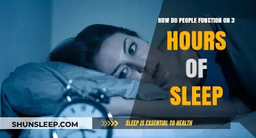 Sleepless Productivity: Unraveling the Mystery of Functioning on Just 3 Hours of Rest