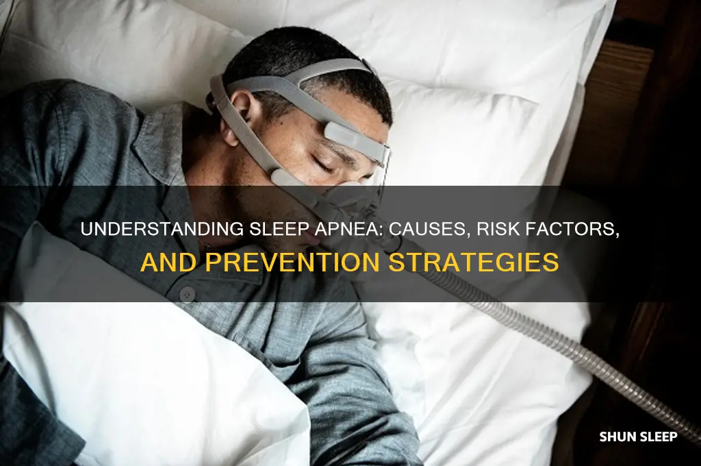 how do people get sleep apnea