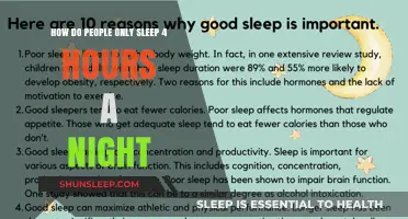 Unlocking Productivity: The Art of Thriving on Just 4 Hours of Sleep