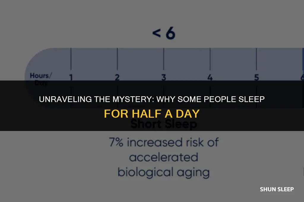 how do people sometimes sleep for 12 hours
