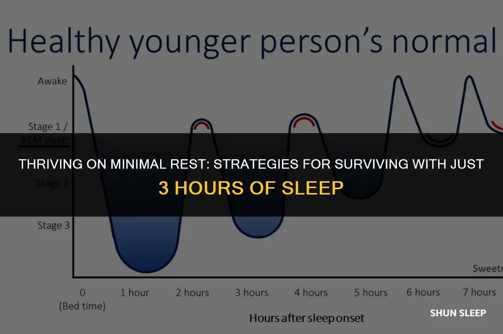 how do people survive on 3 hours sleep