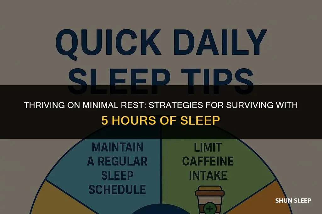 how do people survive on 5 hours sleep