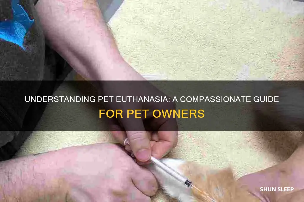 how do pets get put to sleep