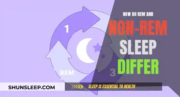 Understanding Sleep: REM vs Non-REM Explained