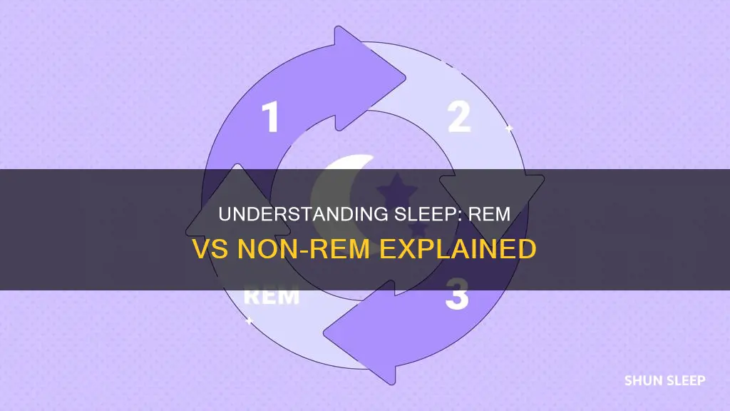 how do rem and non-rem sleep differ