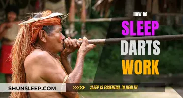 Sleep Darts: Mechanism and Functionality Explained