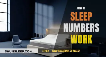 Understanding Sleep Numbers: Science Behind a Good Night's Sleep