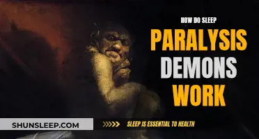Sleep Paralysis Demons: Understanding the Terrifying Hallucinations